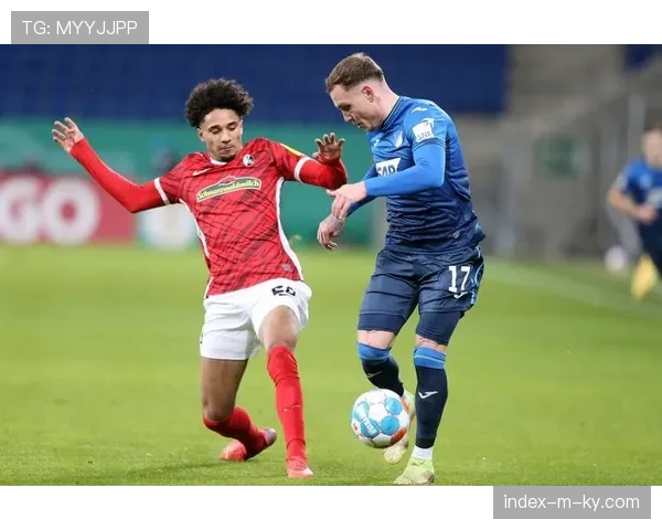 霍芬海姆61%控球胜弗赖堡 图雷阿斯拉尼前场配合效率分析